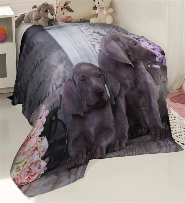 ПЛЕД ФЛИСОВЫЙ "ПЕСИКИ"  - фото 10093