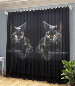 ФОТОТЮЛЬ "ЧЕРНАЯ КОШКА"