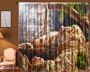 ФОТОТЮЛЬ "КОШКА"