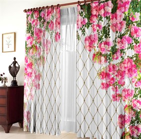 ФОТОШТОРЫ "КЛЕМАТИС" 