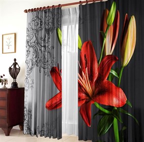 ФОТОШТОРЫ "СМОКИ"  