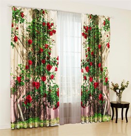 ФОТОШТОРЫ "ЭЛЬЗАС"