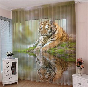 ФОТОТЮЛЬ "АДРЕНАЛИН"